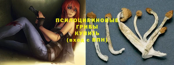 метадон Арсеньев
