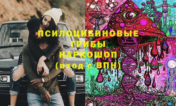 дживик Аркадак