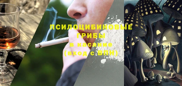 дживик Аркадак