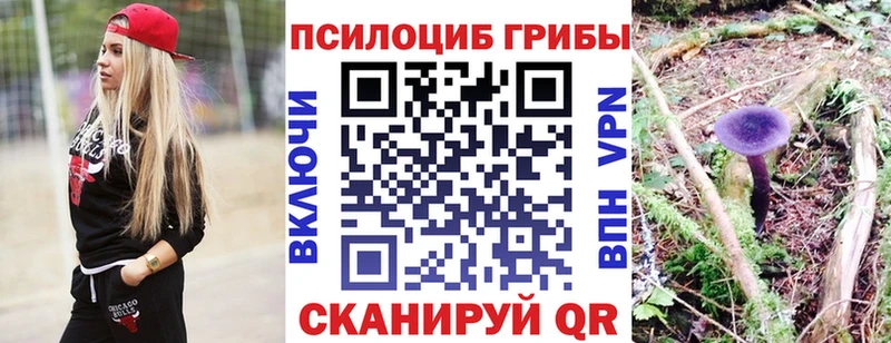 купить наркотик  Полевской  Галлюциногенные грибы MAGIC MUSHROOMS 